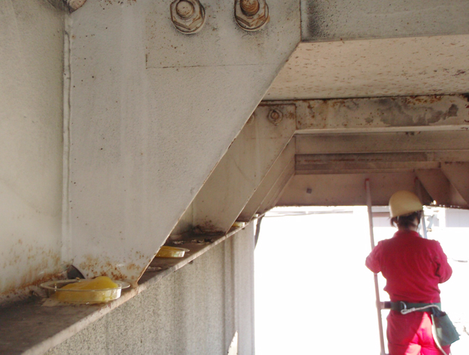 ハト(屋外階段踊り場) 1