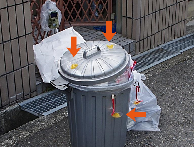 カラス(ゴミ捨て場) 2