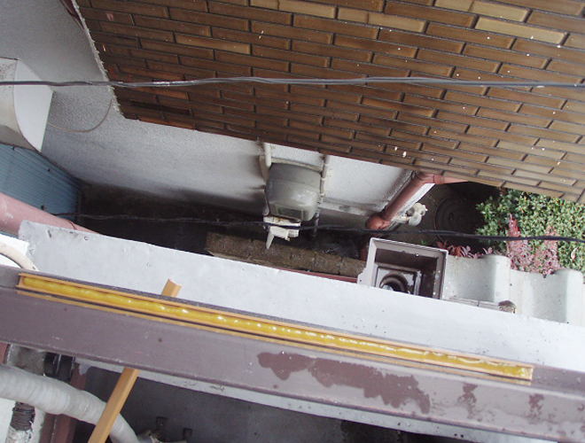 スズメ(家の屋根や手すり) 2