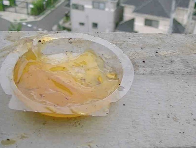 鳥が接触し、施工量が減ったトレー