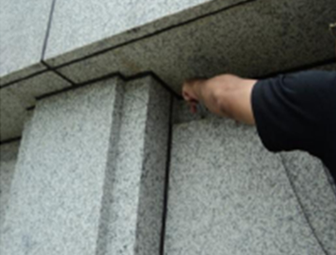 バードフリーを設置しても戻ってくる 2