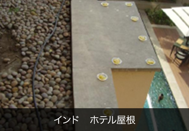 インド ホテル屋根