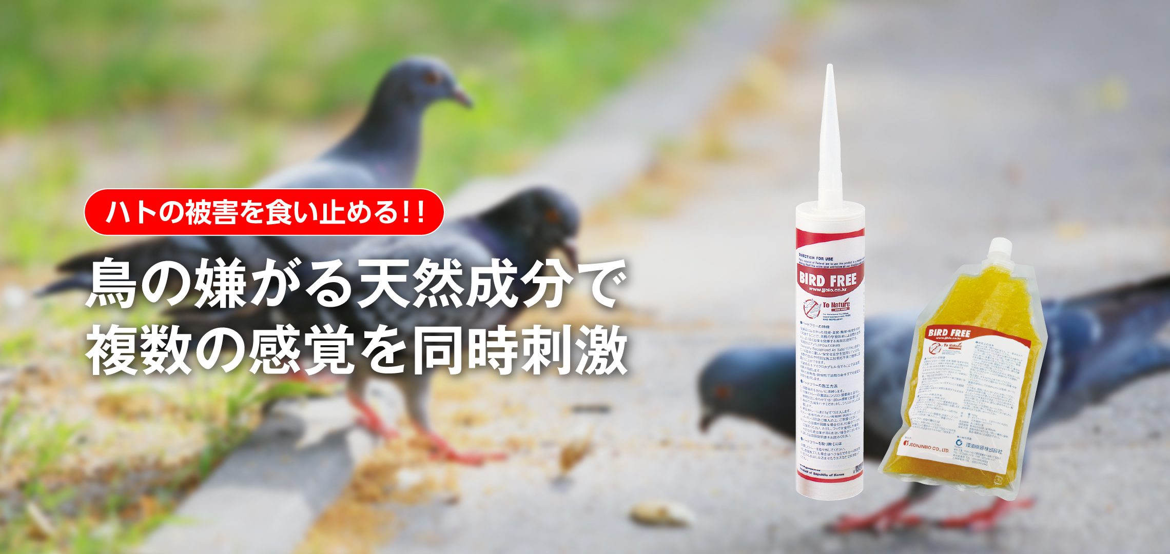 ハトの被害を食い止める!! 鳥の嫌がる天然成分で複数の感覚を同時刺激