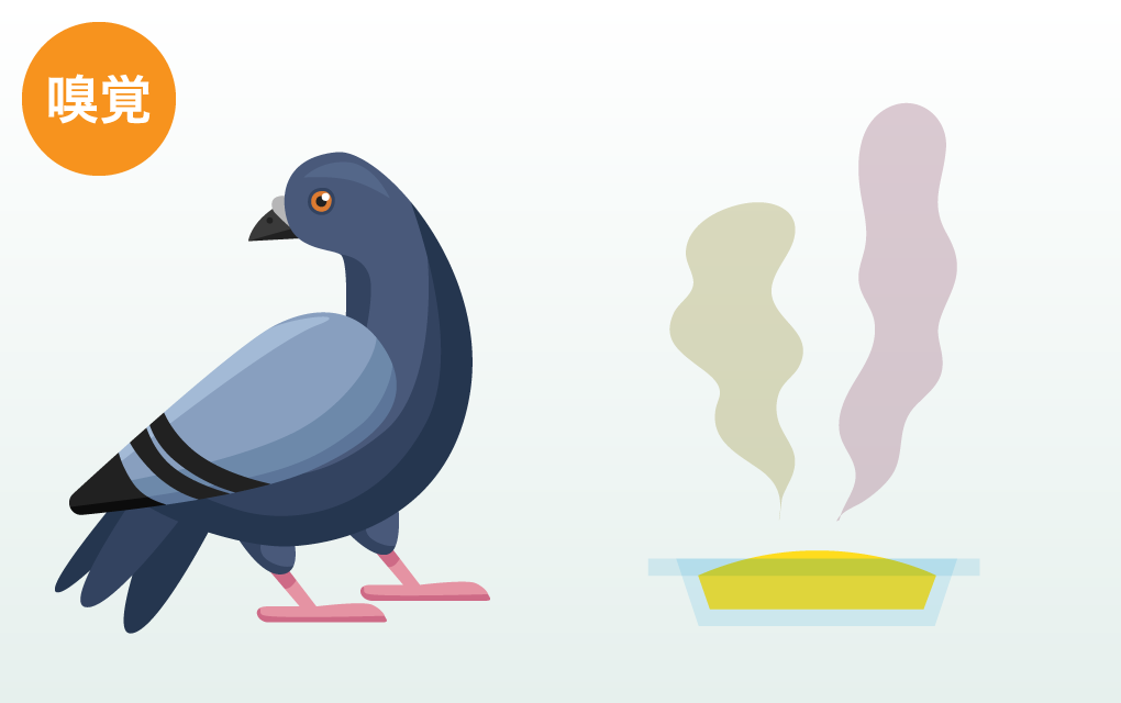 嗅覚