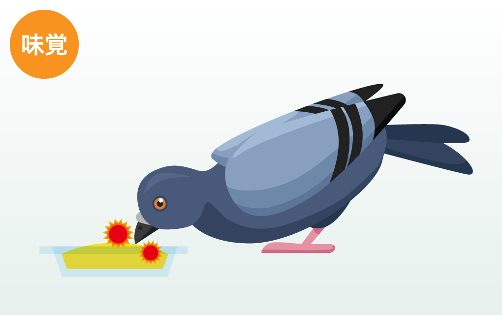 味覚
