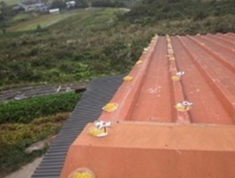 畜舎・鶏舎の野鳥対策 [事例2] 2